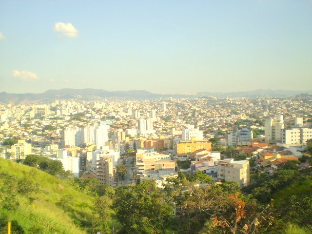 Imóveis no bairro Palmares em Belo Horizonte, MG
