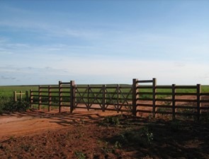 Fazenda à venda com 3 quartos, 10320000m² - Foto 17