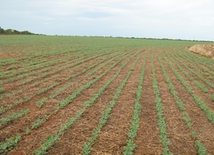 Fazenda à venda com 3 quartos, 10320000m² - Foto 4
