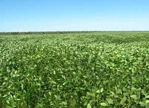 Fazenda à venda com 3 quartos, 10320000m² - Foto 1