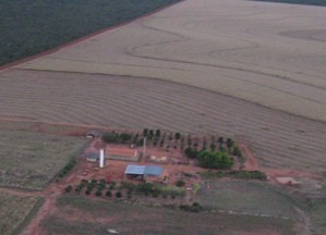 Fazenda à venda com 3 quartos, 10320000m² - Foto 8