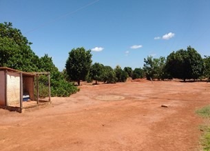 Fazenda à venda com 3 quartos, 10320000m² - Foto 15