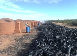 Fazenda à venda com 3 quartos, 10320000m² - Foto 18