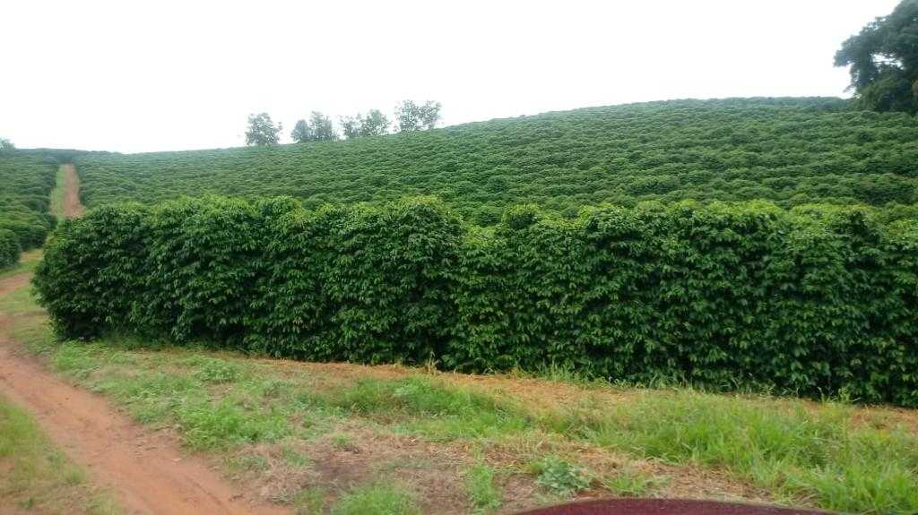 Fazenda à venda com 3 quartos, 6776000m² - Foto 2
