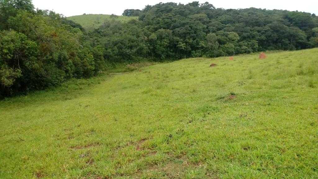Fazenda à venda com 3 quartos, 6776000m² - Foto 9