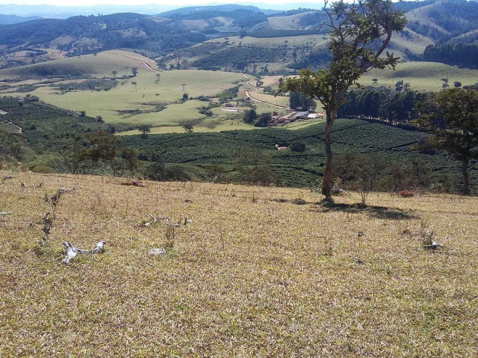 Fazenda à venda com 3 quartos, 6776000m² - Foto 4