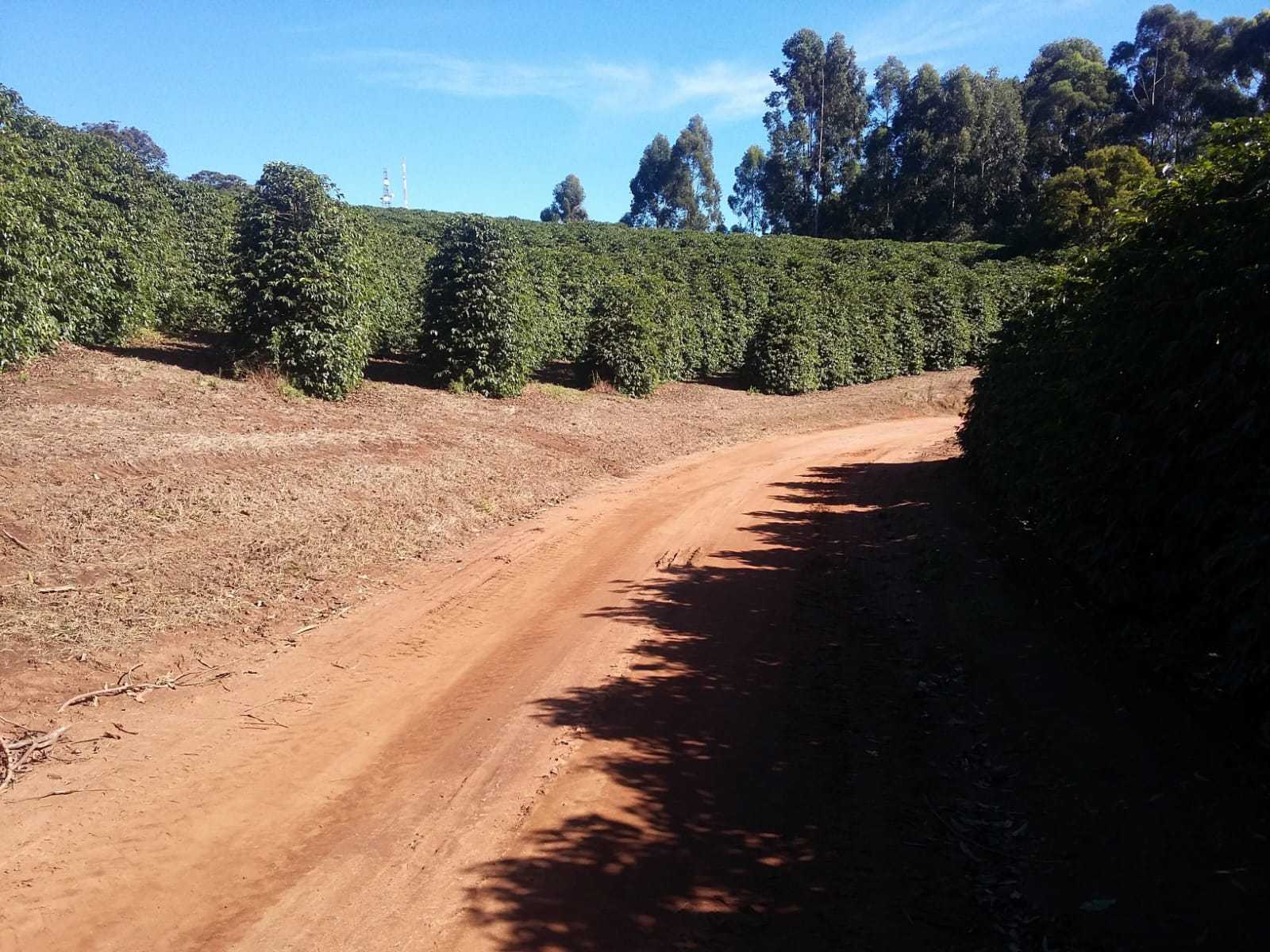 Fazenda à venda com 3 quartos, 6776000m² - Foto 1