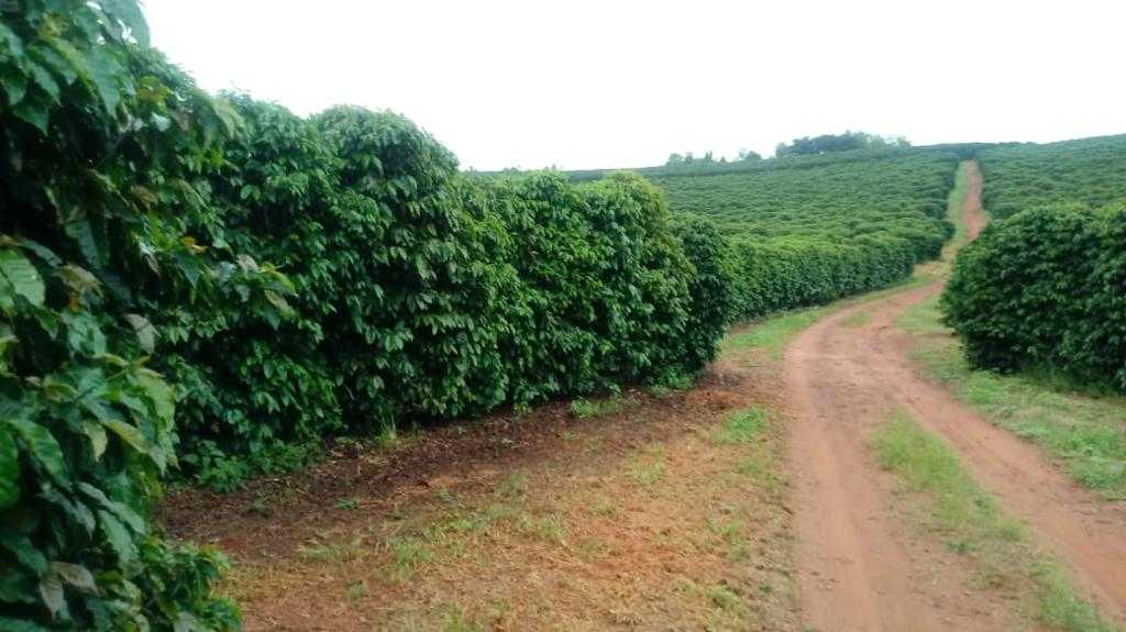 Fazenda à venda com 3 quartos, 6776000m² - Foto 6