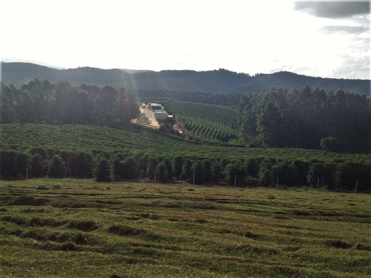 Fazenda à venda com 3 quartos, 6776000m² - Foto 11