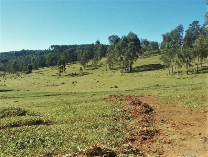 Fazenda à venda com 3 quartos, 6776000m² - Foto 25