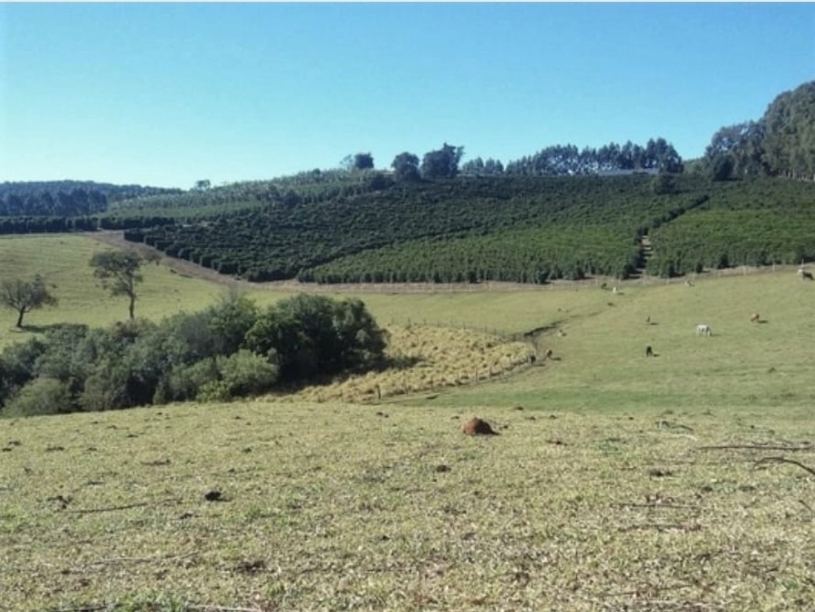 Fazenda à venda com 3 quartos, 6776000m² - Foto 23