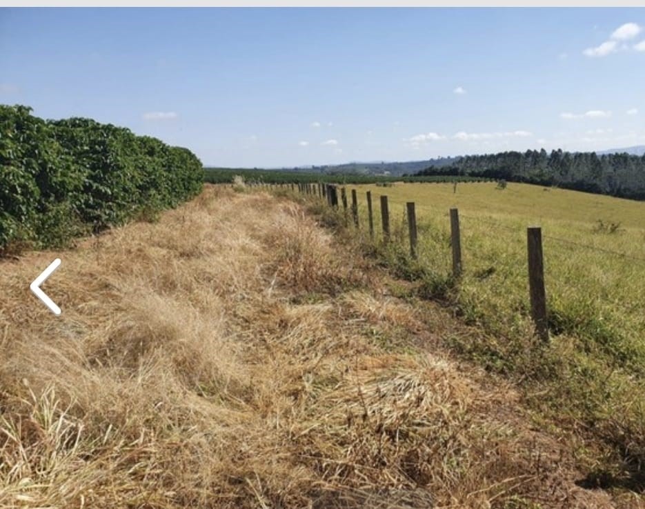 Fazenda à venda com 3 quartos, 6776000m² - Foto 24