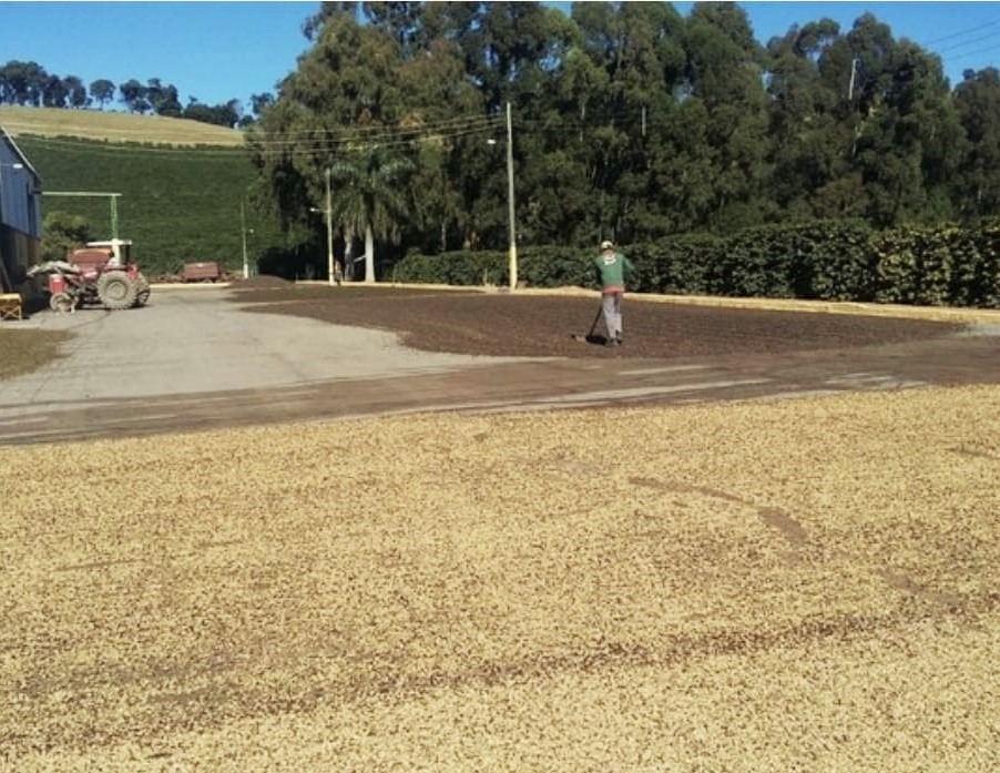 Fazenda à venda com 3 quartos, 6776000m² - Foto 18