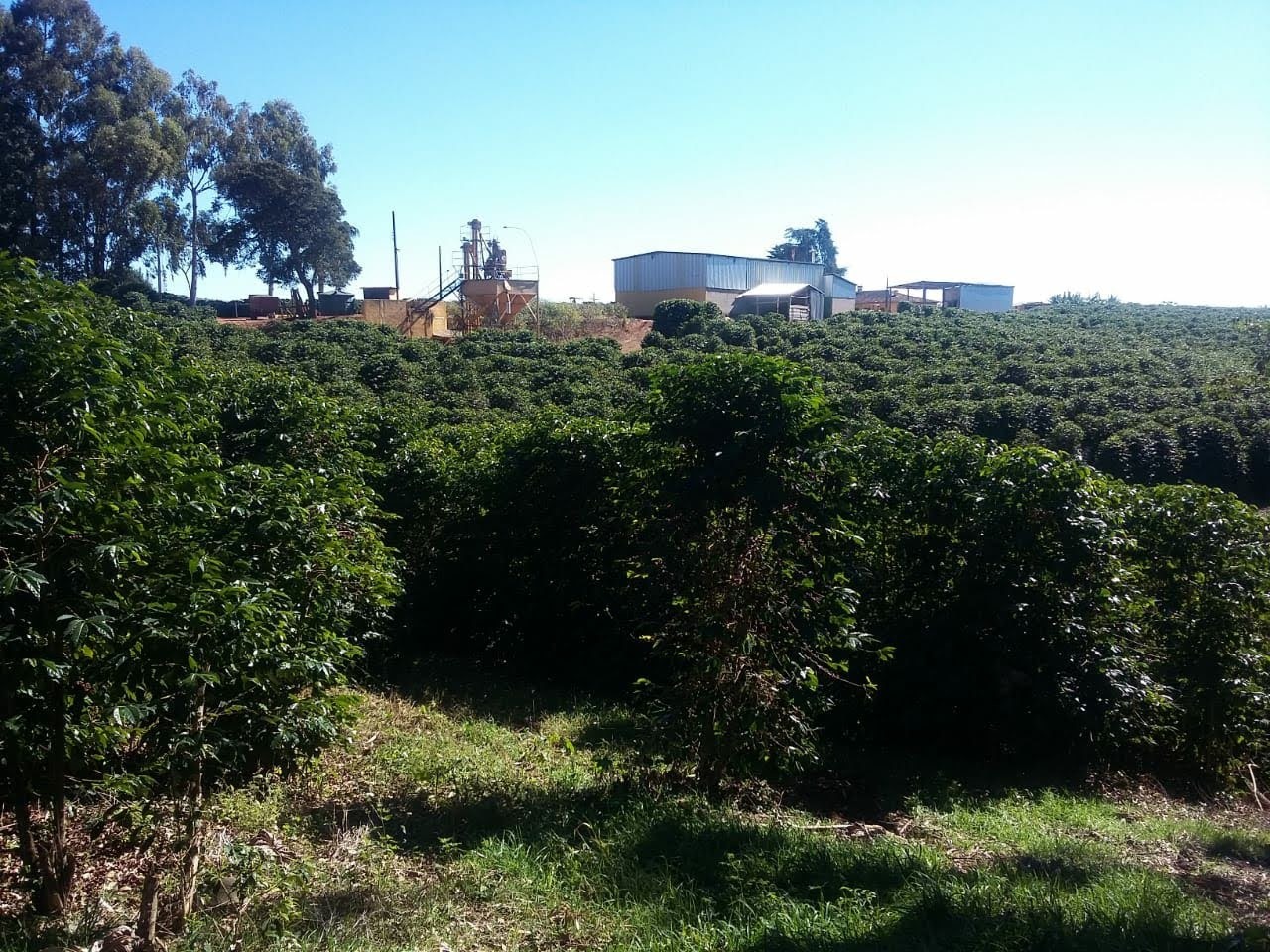 Fazenda à venda com 3 quartos, 6776000m² - Foto 10