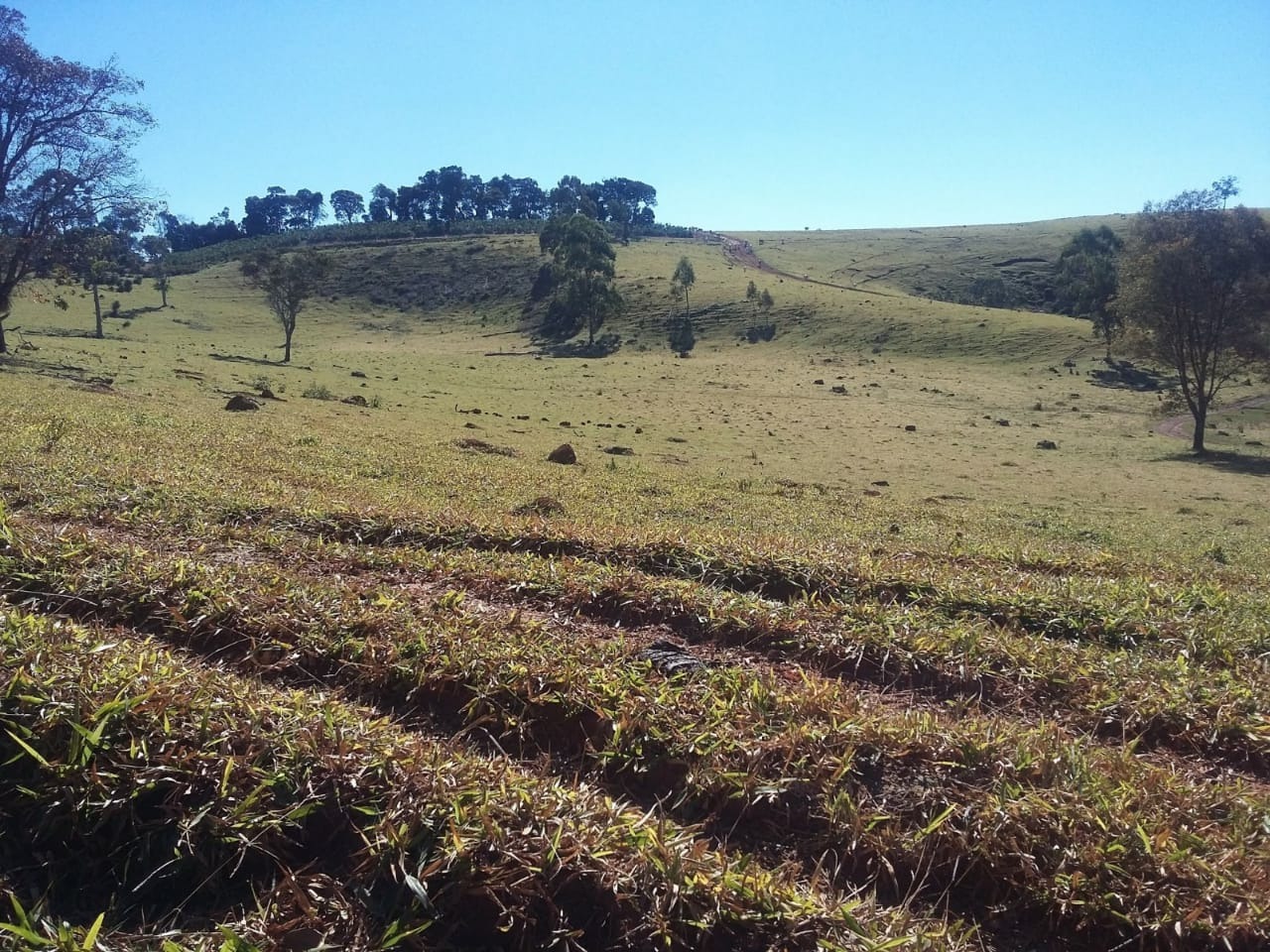 Fazenda à venda com 3 quartos, 6776000m² - Foto 19