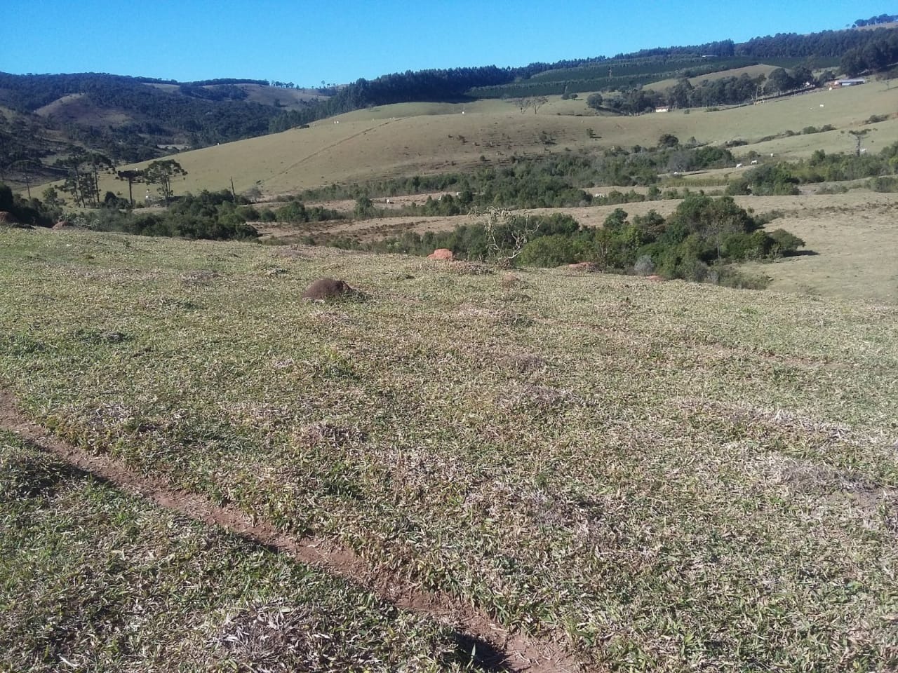 Fazenda à venda com 3 quartos, 6776000m² - Foto 21