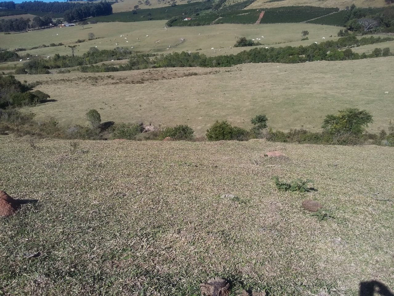 Fazenda à venda com 3 quartos, 6776000m² - Foto 22