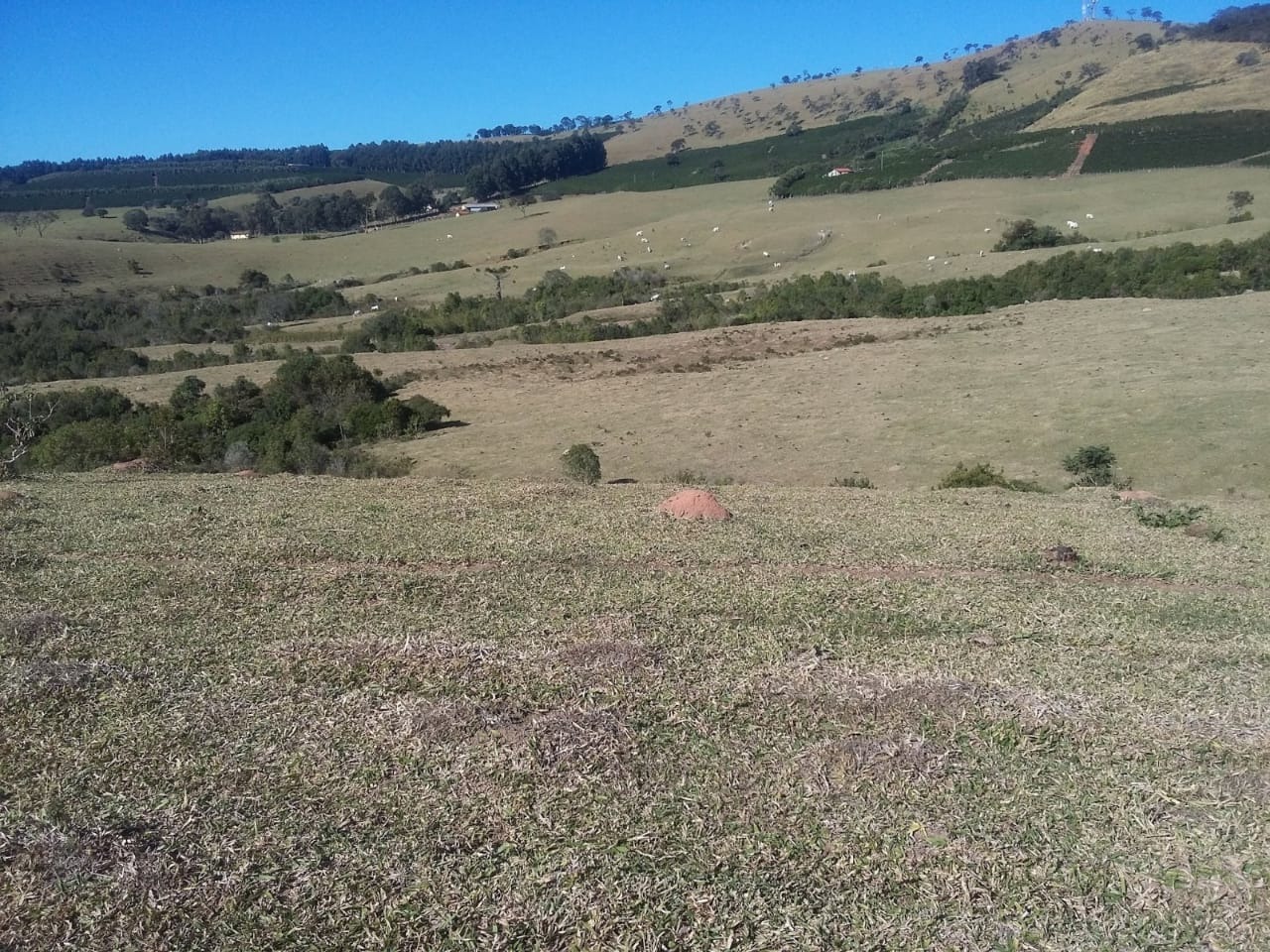 Fazenda à venda com 3 quartos, 6776000m² - Foto 20