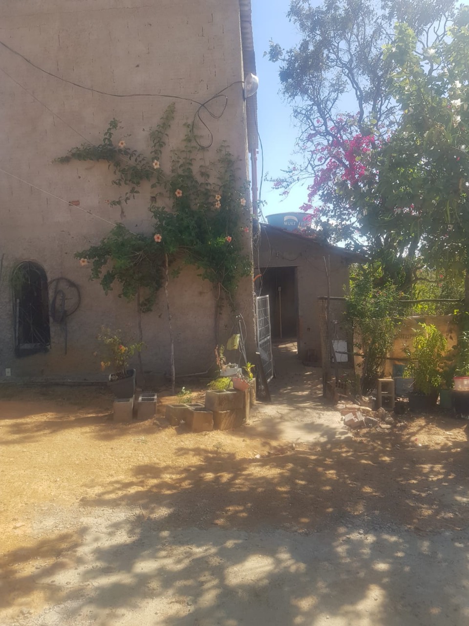 Sítio à venda com 1 quarto, 65m² - Foto 5