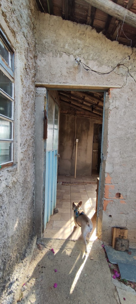 Sítio à venda com 1 quarto, 65m² - Foto 20
