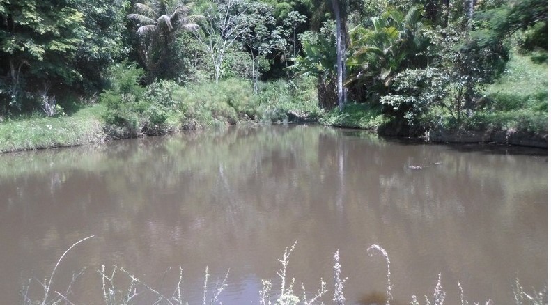 Fazenda à venda com 8 quartos, 6940000m² - Foto 13