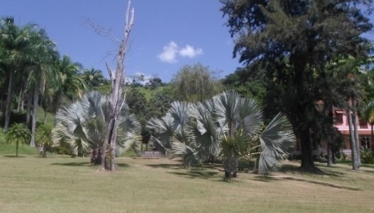 Fazenda à venda com 8 quartos, 6940000m² - Foto 7