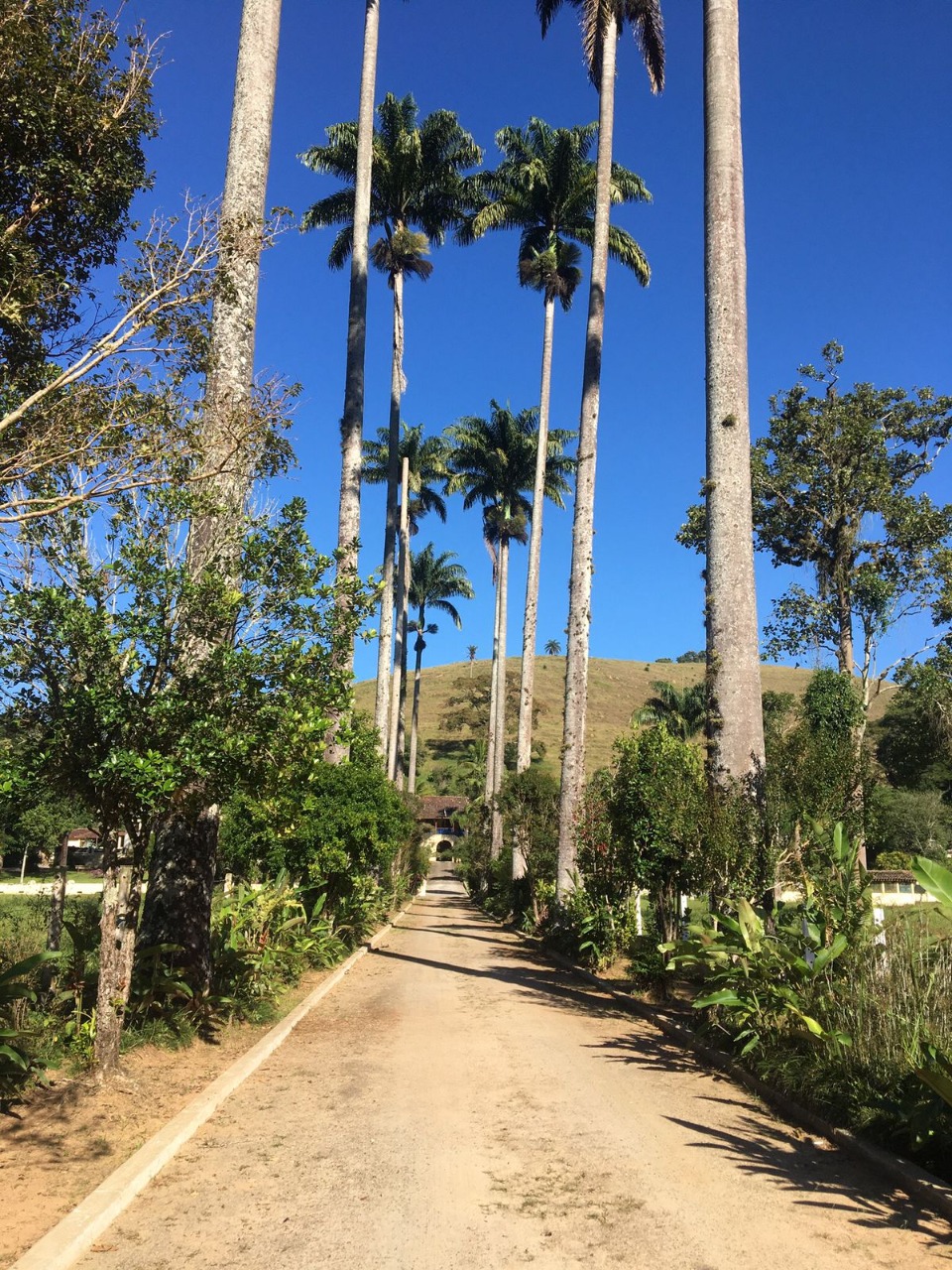 Fazenda à venda com 8 quartos, 6940000m² - Foto 14