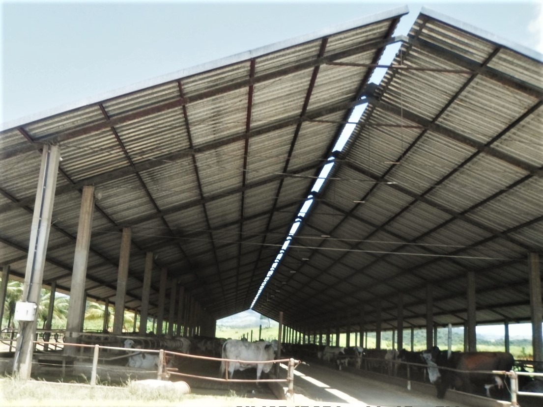 Fazenda à venda com 3 quartos, 1005000m² - Foto 3