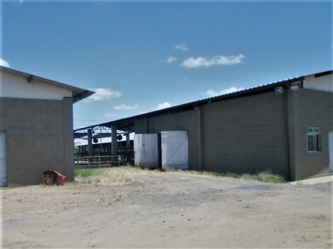 Fazenda à venda com 3 quartos, 1005000m² - Foto 12