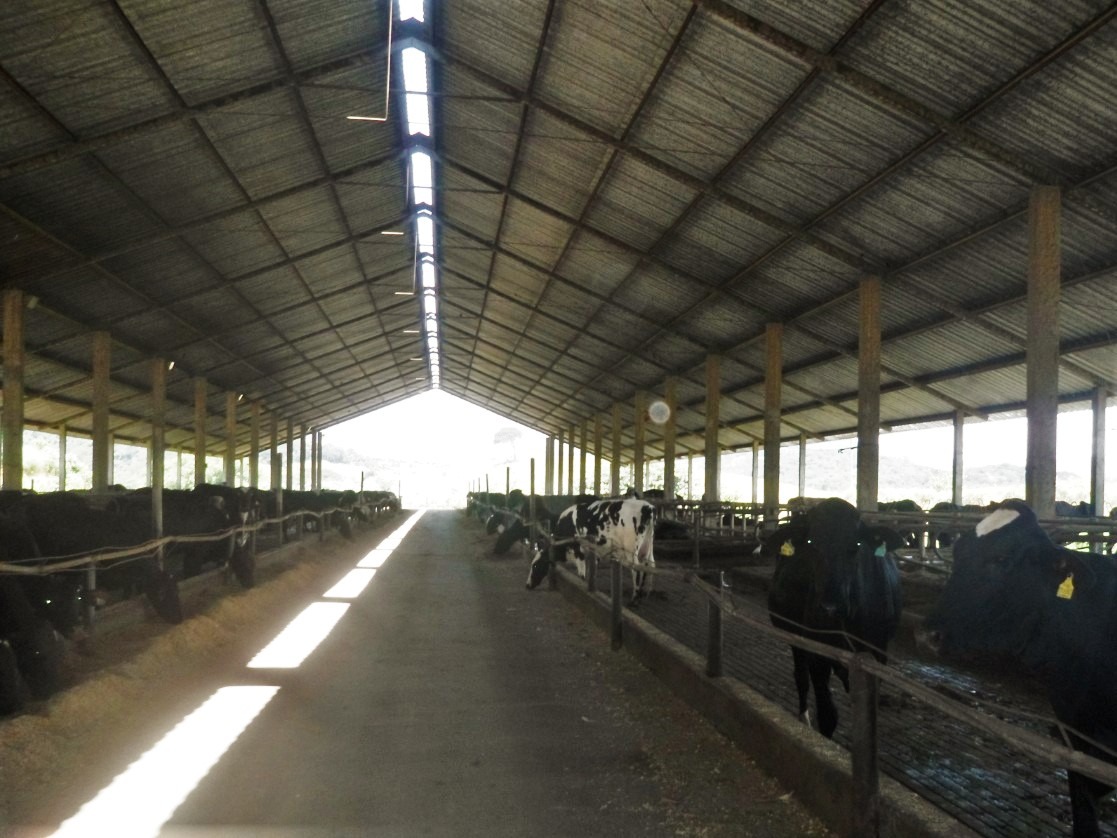 Fazenda à venda com 3 quartos, 1005000m² - Foto 7