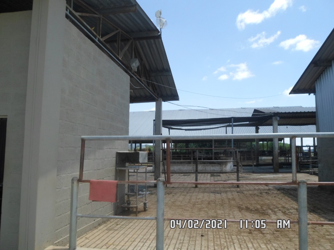 Fazenda à venda com 3 quartos, 1005000m² - Foto 14
