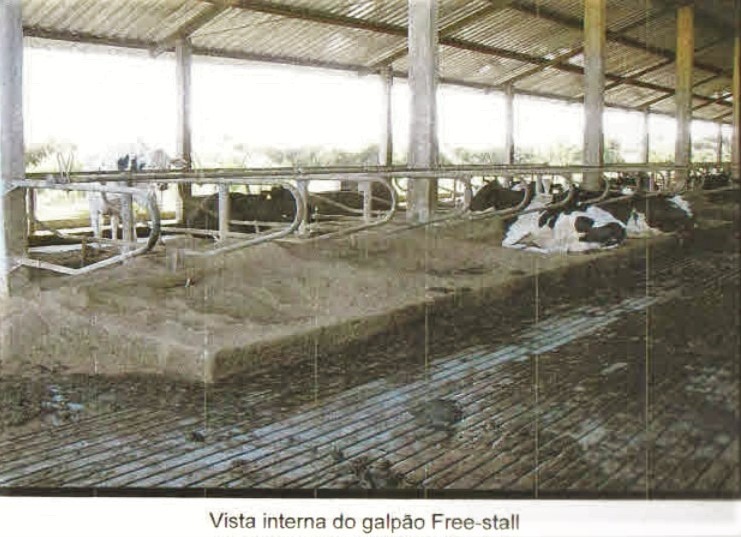 Fazenda à venda com 3 quartos, 1005000m² - Foto 5