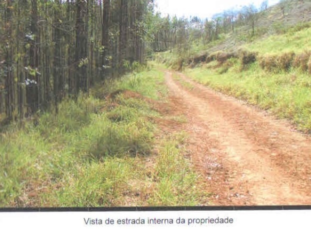 Fazenda à venda com 3 quartos, 1005000m² - Foto 24