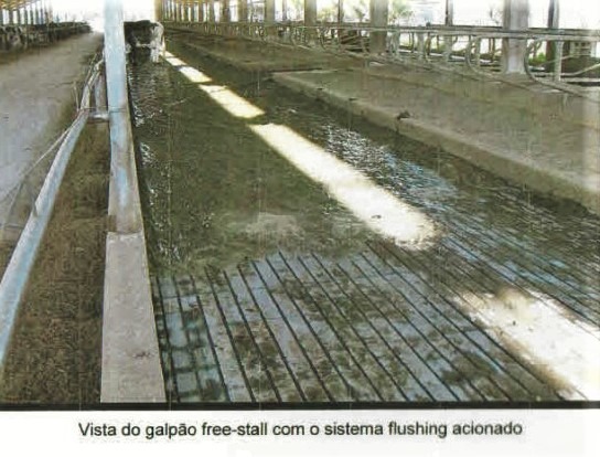 Fazenda à venda com 3 quartos, 1005000m² - Foto 13