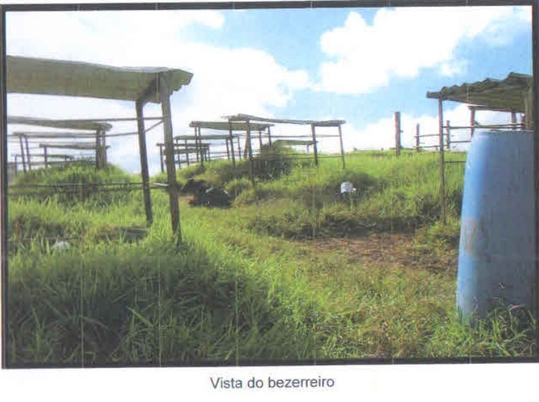 Fazenda à venda com 3 quartos, 1005000m² - Foto 22