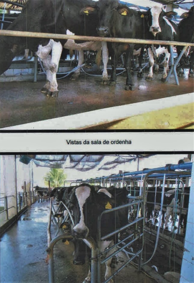 Fazenda à venda com 3 quartos, 1005000m² - Foto 11