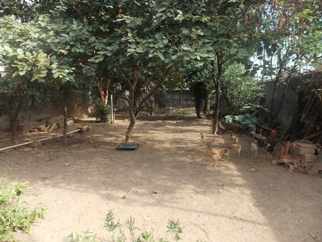 Terreno à venda, 25m² - Foto 3