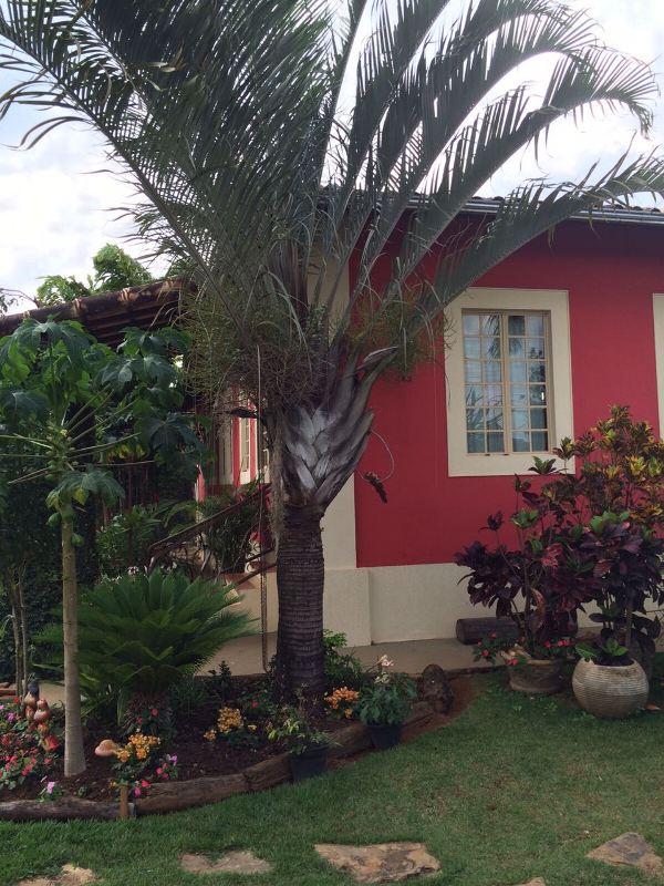 Sítio à venda com 2 quartos, 300m² - Foto 5