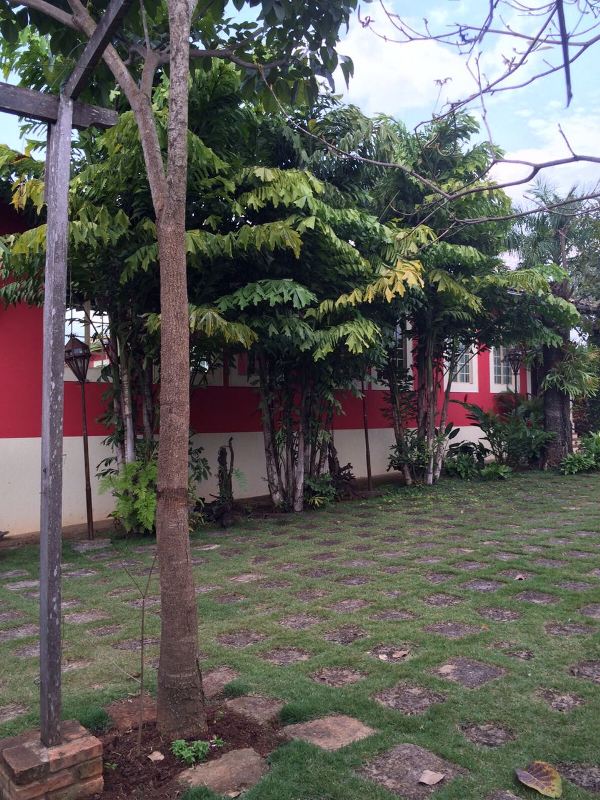 Sítio à venda com 2 quartos, 300m² - Foto 4