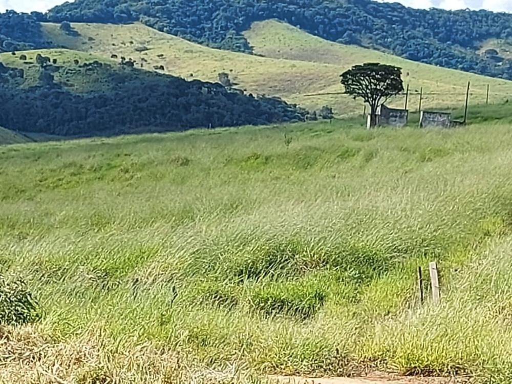 Fazenda à venda com 1 quarto, 1450000m² - Foto 4