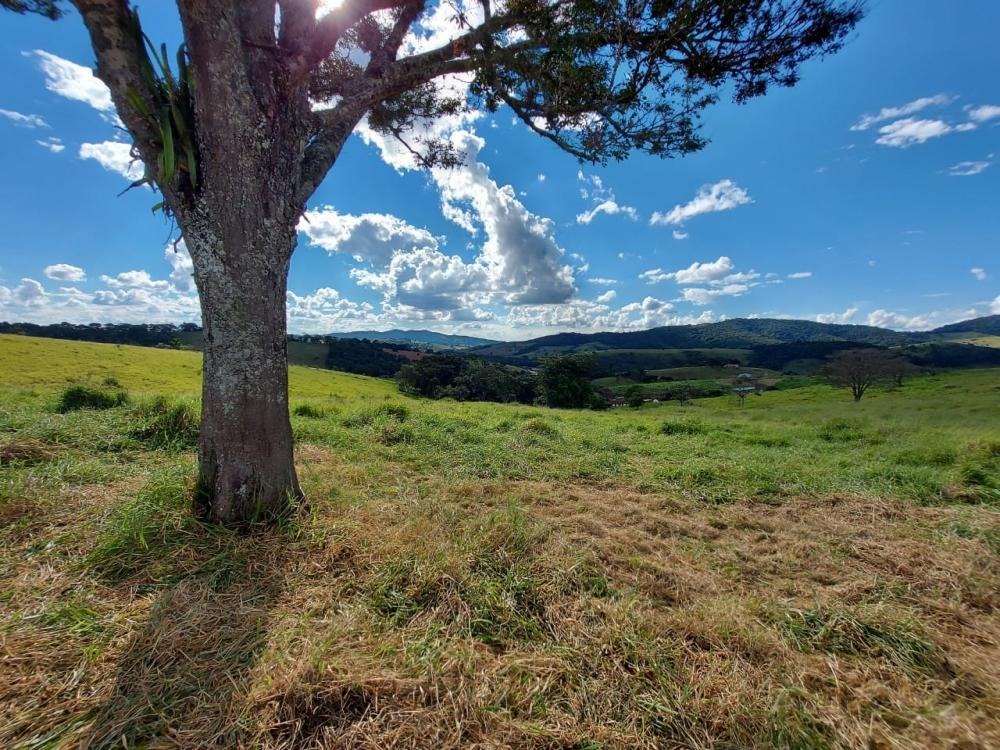 Fazenda à venda com 1 quarto, 1450000m² - Foto 5