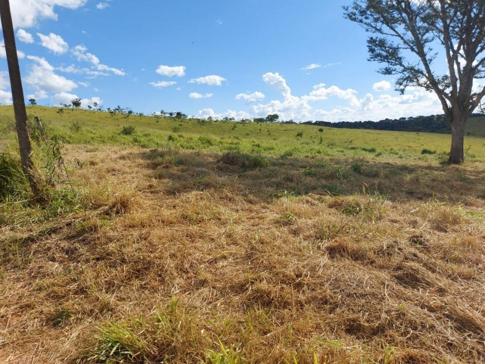 Fazenda à venda com 1 quarto, 1450000m² - Foto 7
