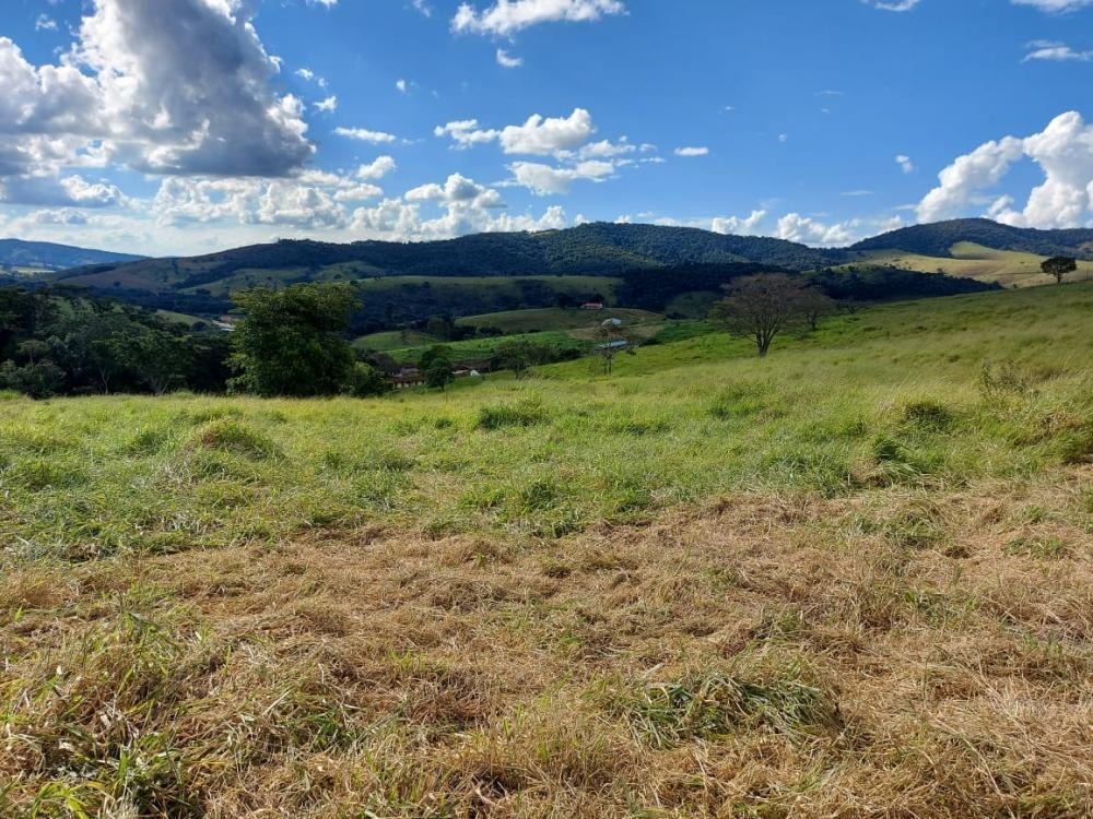 Fazenda à venda com 1 quarto, 1450000m² - Foto 10