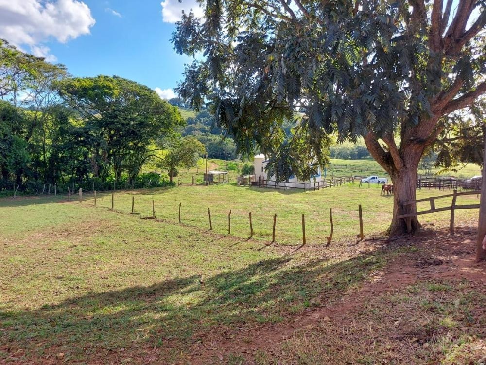 Fazenda à venda com 1 quarto, 1450000m² - Foto 11