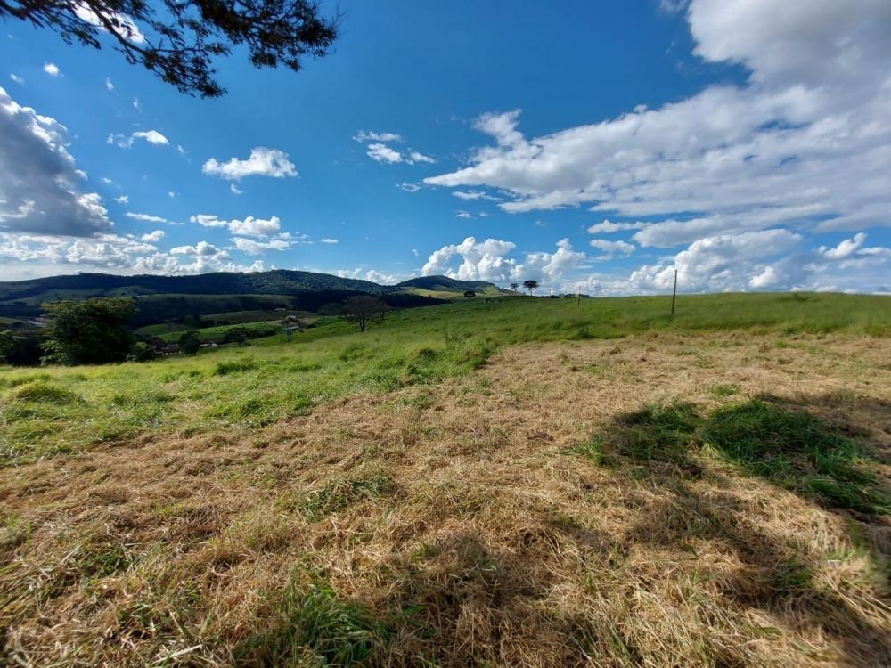 Fazenda à venda com 1 quarto, 1450000m² - Foto 12