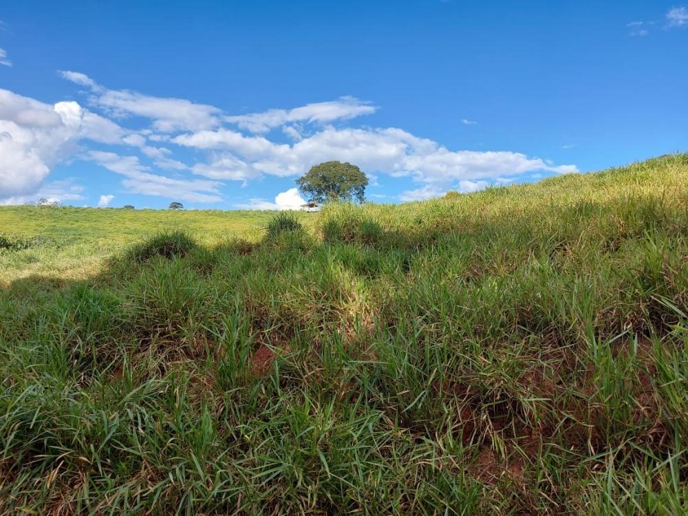 Fazenda à venda com 1 quarto, 1450000m² - Foto 14