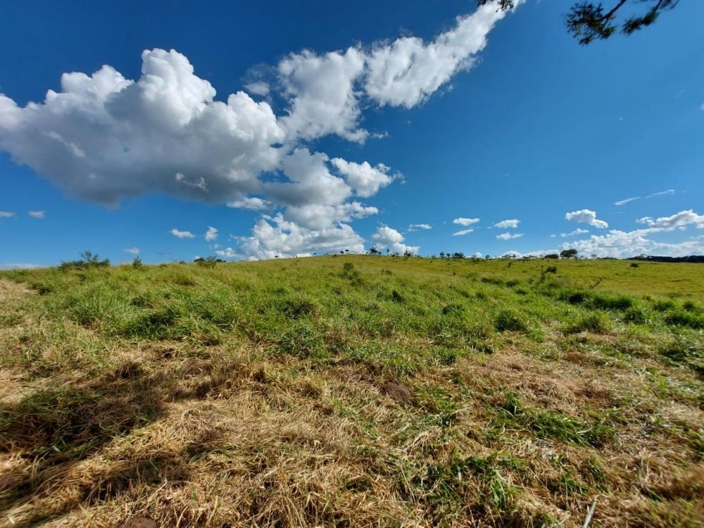 Fazenda à venda com 1 quarto, 1450000m² - Foto 15