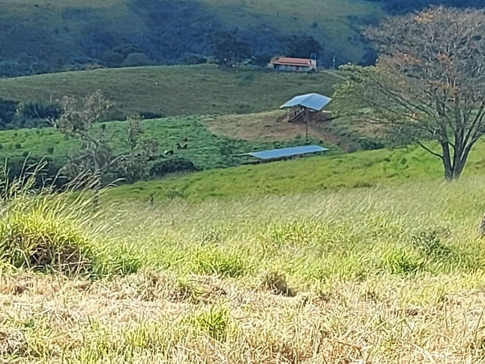 Fazenda à venda com 1 quarto, 1450000m² - Foto 1