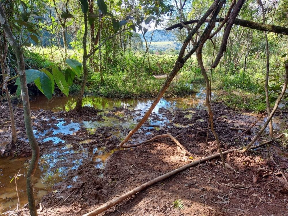 Fazenda à venda com 1 quarto, 1450000m² - Foto 17