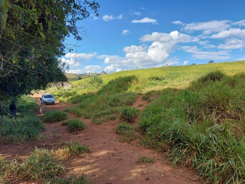 Fazenda à venda com 1 quarto, 1450000m² - Foto 19